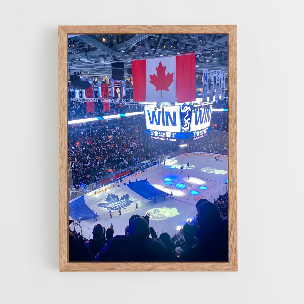 Poster Glace Olympique – affiche Hockey sur glace (vue 4)
